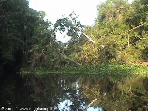 Lungo il fiume