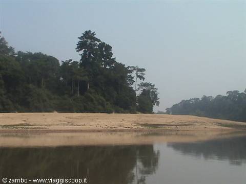 Verso il Taman Negara