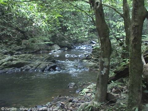 Verso le cascate