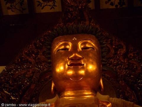 Buddha