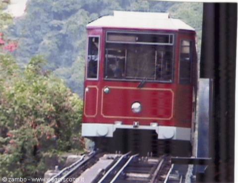 Peak Train