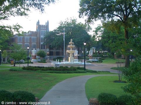 University