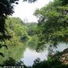 Central Park STATI UNITI D'AMERICA 