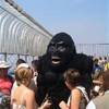 King Kong STATI UNITI D'AMERICA 