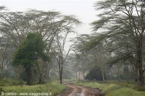 Lake Nakuru