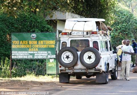 Eccoci allo Ngorongoro