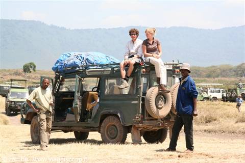 I nostri compagni di viaggio
