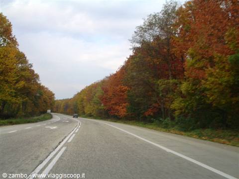 I colori dell'autunno