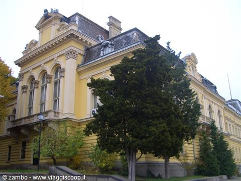 Sofia