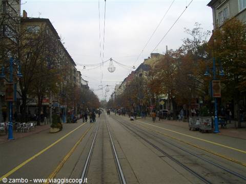 Vitosha Bul.