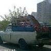 Traspoerto....melograni IRAN 