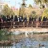 Esfahan - Giardino Botanico IRAN 