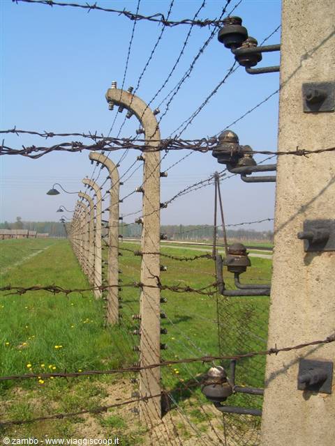 Birkenau- Filo spinato e alta tensione
