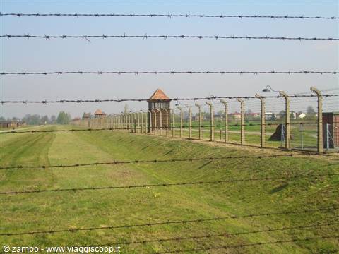 Birkenau