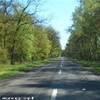 Polonia - Strade nella foresta.... POLONIA 