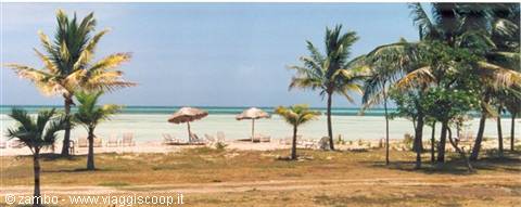 Cayo Guillermo