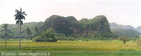 Pinar del Rio