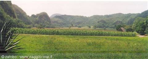 Pinar del Rio