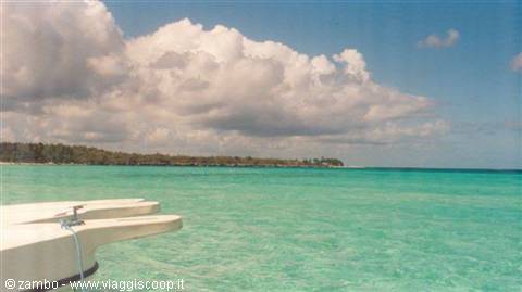 Saona