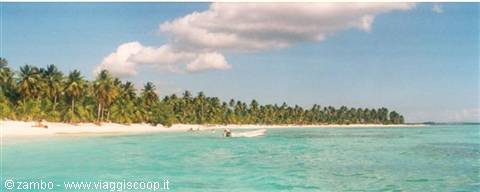 Saona