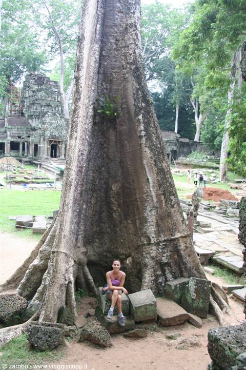 Lara Croft....Ta Prohm