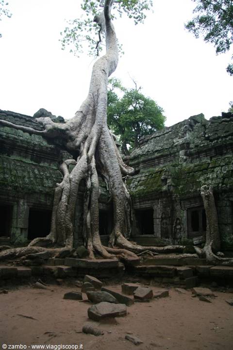Ta Prohm