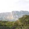 Alba nella foresta VENEZUELA 