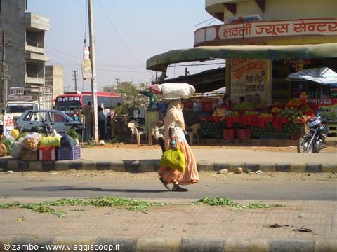 Verso Udaipur...