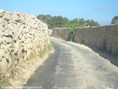 Strade di campagna