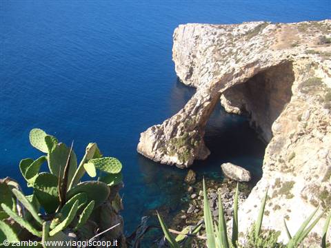 BLUE GROTTO