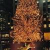 Christmass Tree STATI UNITI D'AMERICA 