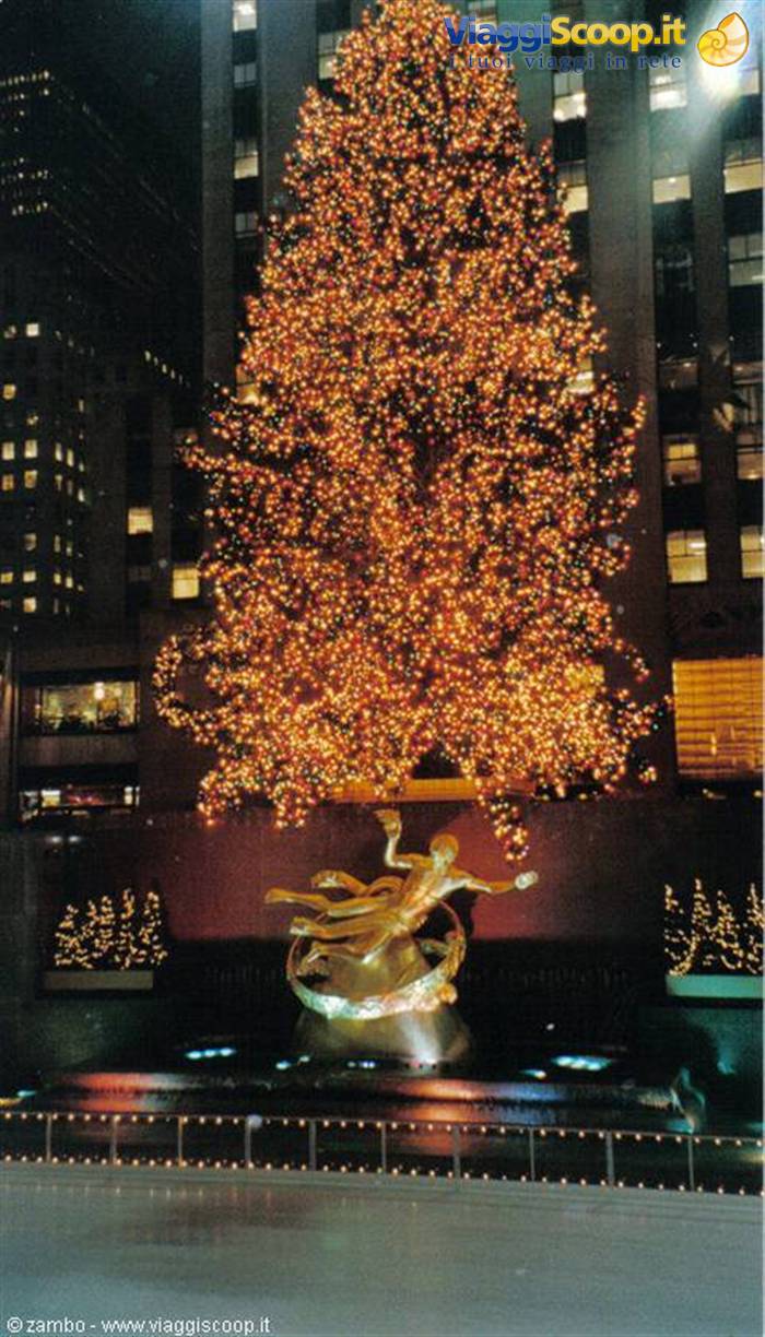 Christmass Tree