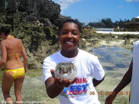 DIDA E IL PESCE PALLA