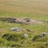 marmotta sentinella ITALIA 