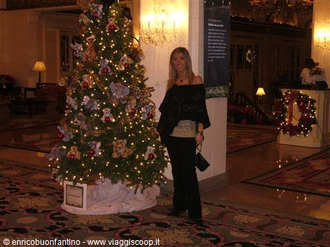 serata di gala a Washington DC - Omni Shoream Hotel
