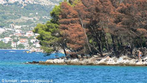 Terra mare e purtroppo fuoco