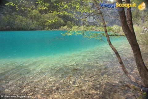 kaluderovac jezero trasparenze fantastiche e pesci