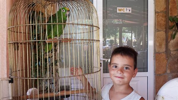 Un sorriso e un pappagallo verde: incontri inaspettati in vacanza.