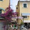 pizzeria aldo ITALIA 