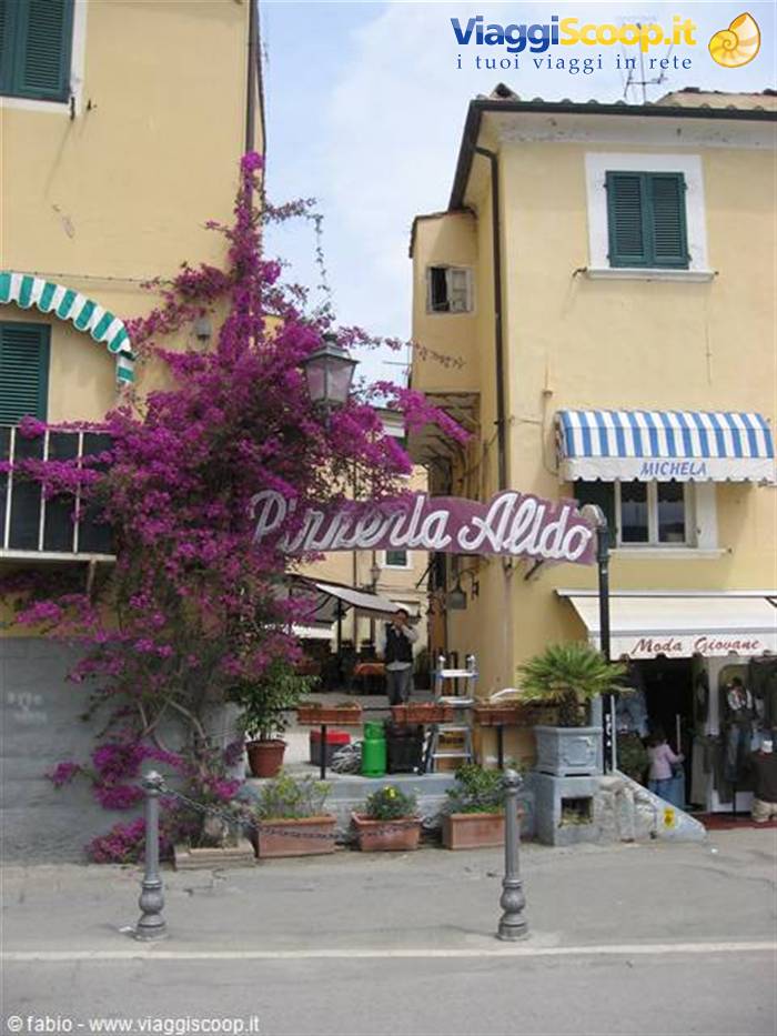 pizzeria aldo