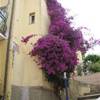  ITALIA 