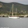altre barche all'elba ITALIA 