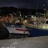 pescherecci nel porto ITALIA 