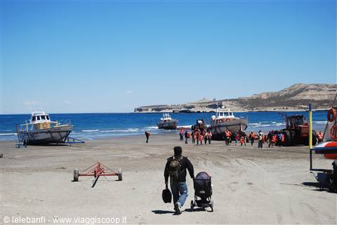 Penisola Valdés - Puerto Piramides