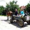 mezzo di trasporto nella regione del Maramures ROMANIA 