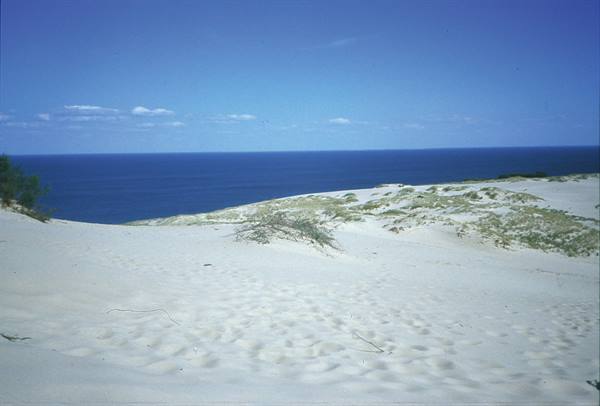 le dune della Penisola di Neringa