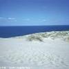 le dune della Penisola di Neringa LITUANIA 