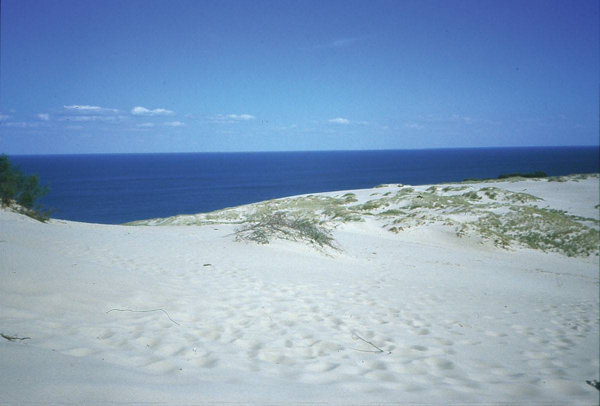 le dune della Penisola di Neringa