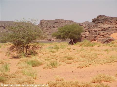 desert