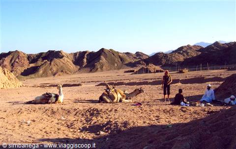 bacino di Elia (Sinai)